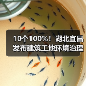 10个100%!湖北宜昌发布建筑工地环境治理标准图例(图3) 10个100%!湖北宜昌发布建筑工地环境治理标准图例(图3)
