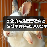 安徽交控集团营运高速公路里程突破5000公里(图1) 安徽交控集团营运高速公路里程突破5000公里(图1)