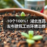 10个100%!湖北宜昌发布建筑工地环境治理标准图例(图4) 10个100%!湖北宜昌发布建筑工地环境治理标准图例(图4)