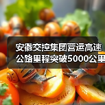 安徽交控集团营运高速公路里程突破5000公里(图3) 安徽交控集团营运高速公路里程突破5000公里(图3)