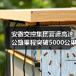 安徽交控集团营运高速公路里程突破5000公里(图4) 安徽交控集团营运高速公路里程突破5000公里(图4)