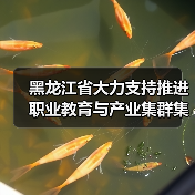 黑龙江省大力支持推进职业教育与产业集群集聚融合发展(图3) 黑龙江省大力支持推进职业教育与产业集群集聚融合发展(图3)