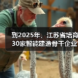到2025年,江苏省培育30家智能建造骨干企业(图4) 到2025年,江苏省培育30家智能建造骨干企业(图4)