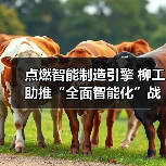 点燃智能制造引擎 柳工助推“全面智能化”战略落地(图3) 点燃智能制造引擎 柳工助推“全面智能化”战略落地(图3)