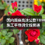 国内首座高速公路TBM施工平导洞全线贯通(图4) 国内首座高速公路TBM施工平导洞全线贯通(图4)