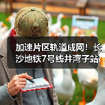 加速片区轨道成网!长沙地铁7号线井湾子站主体结构封顶(图3) 加速片区轨道成网!长沙地铁7号线井湾子站主体结构封顶(图3)