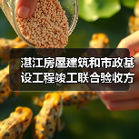 湛江房屋建筑和市政基设工程竣工联合验收方案征意！（图2）
