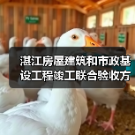 湛江房屋建筑和市政基设工程竣工联合验收方案征意！（图4）