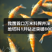 我国首口万米科探井深地塔科1井钻进突破8000米（图4）