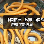 中国标准!越南-中国铁路有了新进展(图3) 中国标准!越南-中国铁路有了新进展(图3)