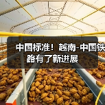 中国标准!越南-中国铁路有了新进展(图4) 中国标准!越南-中国铁路有了新进展(图4)