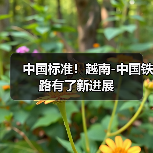 中国标准!越南-中国铁路有了新进展(图1) 中国标准!越南-中国铁路有了新进展(图1)