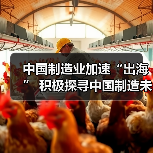 中国制造业加速“出海” 积极探寻中国制造未来之路(图2) 中国制造业加速“出海” 积极探寻中国制造未来之路(图2)