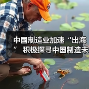 中国制造业加速“出海” 积极探寻中国制造未来之路(图3) 中国制造业加速“出海” 积极探寻中国制造未来之路(图3)