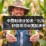中国制造业加速“出海” 积极探寻中国制造未来之路(图4) 中国制造业加速“出海” 积极探寻中国制造未来之路(图4)
