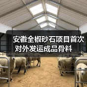 安徽全椒砂石项目首次对外发运成品骨料(图4) 安徽全椒砂石项目首次对外发运成品骨料(图4)