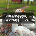 SAC24000T助力风电吊装升级 高效运输引领行业