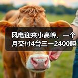 风电迎来小高峰，一个月交付4台三一2400吨（图3）