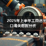 2025年上半年工具进出口海关数据分析(图3) 2025年上半年工具进出口海关数据分析(图3)