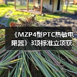 《MZP4型PTC热敏电阻器》3项标准立项获批（图2）