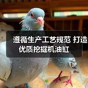 遵循生产工艺规范 打造优质挖掘机油缸(图1) 遵循生产工艺规范 打造优质挖掘机油缸(图1)