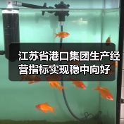 江苏省港口集团生产经营指标实现稳中向好(图4) 江苏省港口集团生产经营指标实现稳中向好(图4)