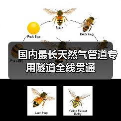国内最长天然气管道专用隧道全线贯通(图3) 国内最长天然气管道专用隧道全线贯通(图3)