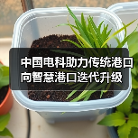 中国电科助力传统港口向智慧港口迭代升级(图2) 中国电科助力传统港口向智慧港口迭代升级(图2)