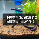 中国电科助力传统港口向智慧港口迭代升级(图3) 中国电科助力传统港口向智慧港口迭代升级(图3)