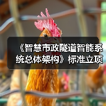 《智慧市政隧道智能系统总体架构》标准立项获批(图1) 《智慧市政隧道智能系统总体架构》标准立项获批(图1)