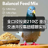 全口径投资210亿 重庆交通开投集团超额实现“双过半”(图2) 全口径投资210亿 重庆交通开投集团超额实现“双过半”(图2)