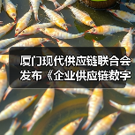 厦门现代供应链联合会发布《企业供应链数字化水平评估规范》(图3) 厦门现代供应链联合会发布《企业供应链数字化水平评估规范》(图3)