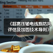 超高压输电线路防风评估与加固技术规范获批立项