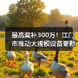 江门市设备更新奖补政策详解 企业技术改造新机遇