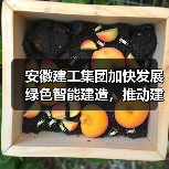 绿色智能建造推动建筑业转型升级新路径