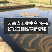 云南工业生产回升 韧性持续增强