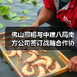 佛山照明携手中建八局南方公司深化战略合作