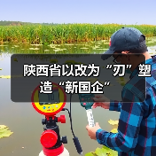 陕西省推动国企改革打造新型国企模式