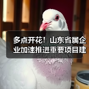 山东省属企业项目建设加速推进