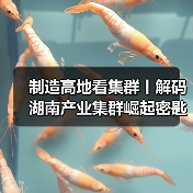 湖南产业集群崛起关键要素解析