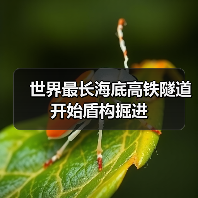 世界最长海底高铁隧道盾构掘进启动