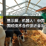 中国国经发布八项显示屏与机器人技术标准