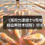 广东省水利学会发布预应力混凝土U形板桩应用技术规程