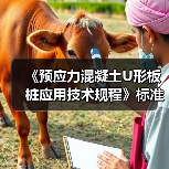 《预应力混凝土U形板桩应用技术规程》标准发布施行（图4）