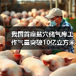 我国首座盐穴储气库工作气量突破10亿立方米(图1) 我国首座盐穴储气库工作气量突破10亿立方米(图1)