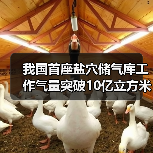 我国首座盐穴储气库工作气量突破10亿立方米(图2) 我国首座盐穴储气库工作气量突破10亿立方米(图2)