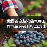 我国首座盐穴储气库工作气量突破10亿立方米(图4) 我国首座盐穴储气库工作气量突破10亿立方米(图4)