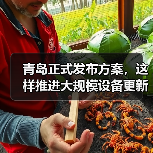 大规模设备更新与消费品以旧换新政策解析