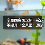 宁夏国资国企改革推进成效显著