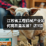 江苏省工程机械产业如何高质量发展?这9项重点任务是关键(图3) 江苏省工程机械产业如何高质量发展?这9项重点任务是关键(图3)